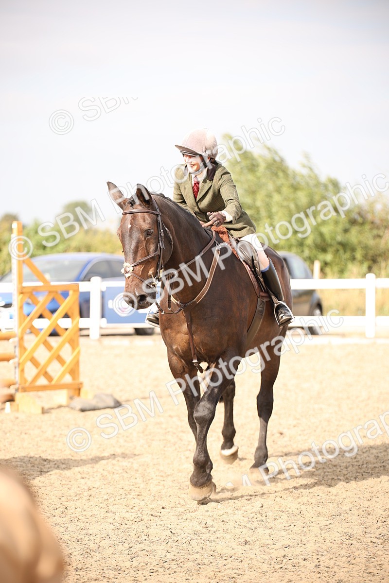 SBM_17159 - Class 409b - Working Veteran 80cm (20+)