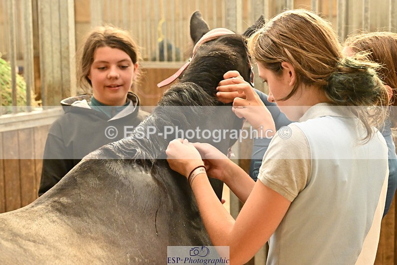 250821B-162508-00509 - Stable Shots and Group Photo