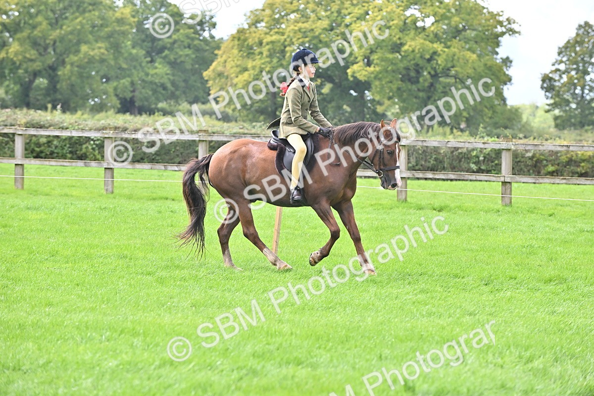 SBM_44479 - S13 - Pony Club Pony