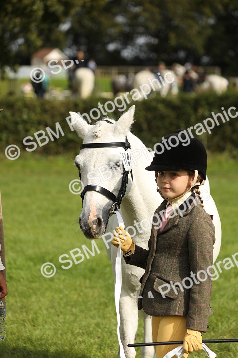 SBM_68657 - S40 - Junior Handler 9-12 Years