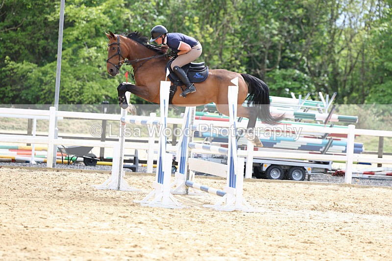 3E7A7728 - Class 8: Senior Foxhunter/1.20 open