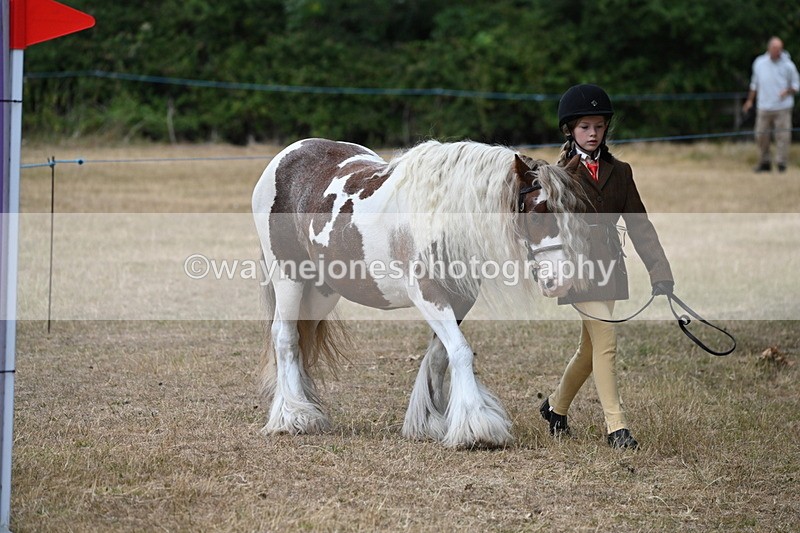 WJ6_7895 - Class 10 Coloured in Hand