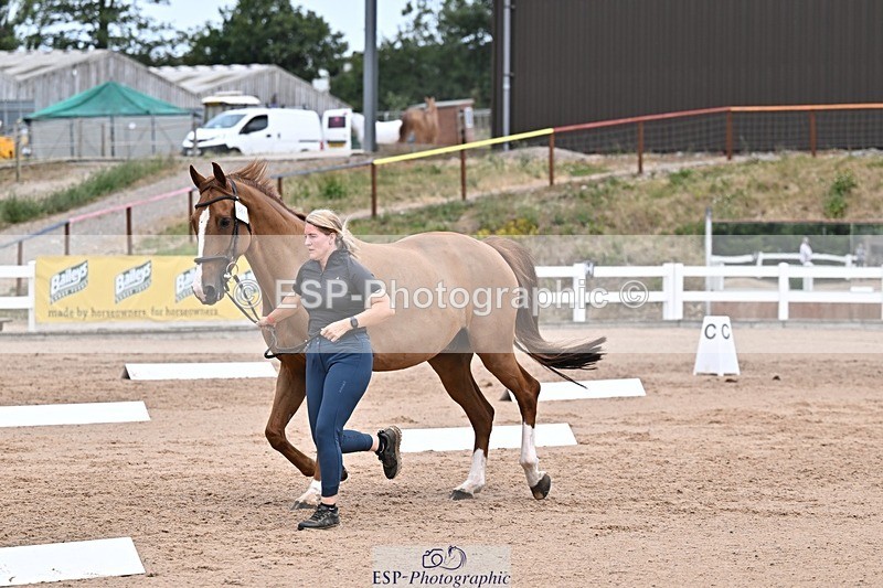 250716-133408-00577 - Trot Up 1.30 to 2.30