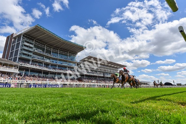 280625-Race 3-Squealer-5226 - Race 3 3.00pm Al Basti Equiworld Dubai Dash Handicap