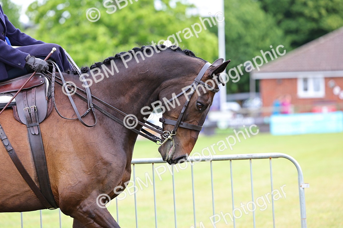 SBM_02863 - Class 9-11 Side Saddle including LIHS Rising Star Ladies Show Horse