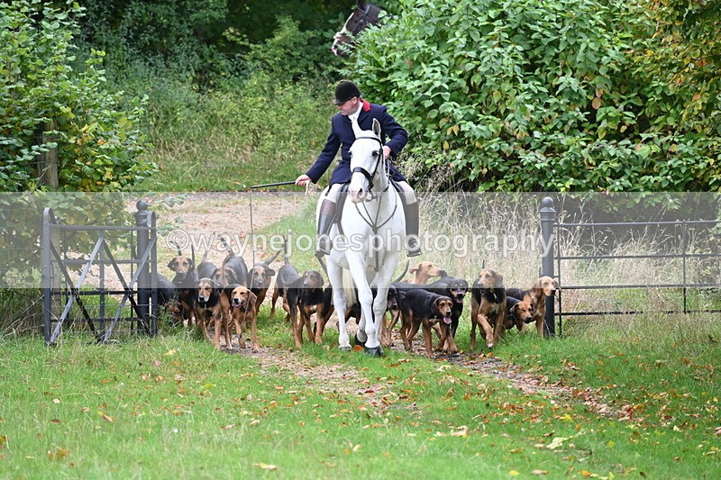 WJ6_0039 - Camera 2 Meet