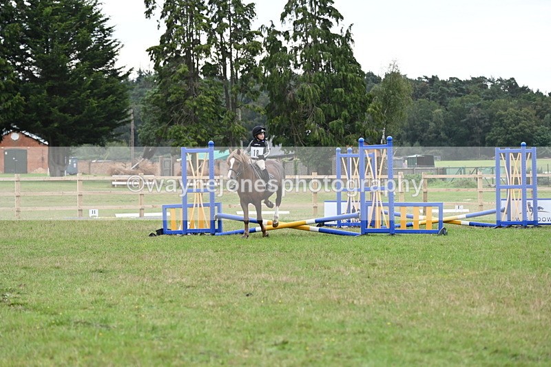 WJ6_0297 - 40cm Time 10:00 to 10:28