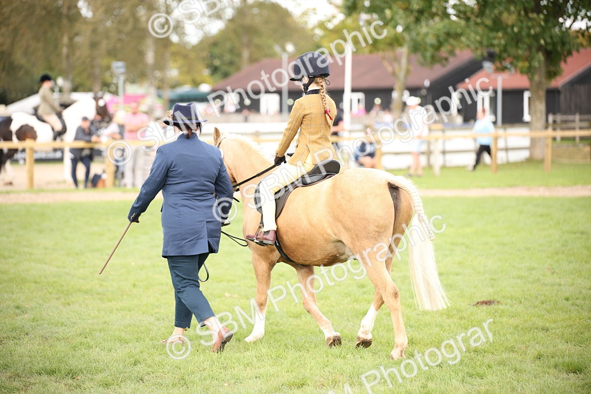 SBM_50013 - S26 - Young Veteran - Ridden