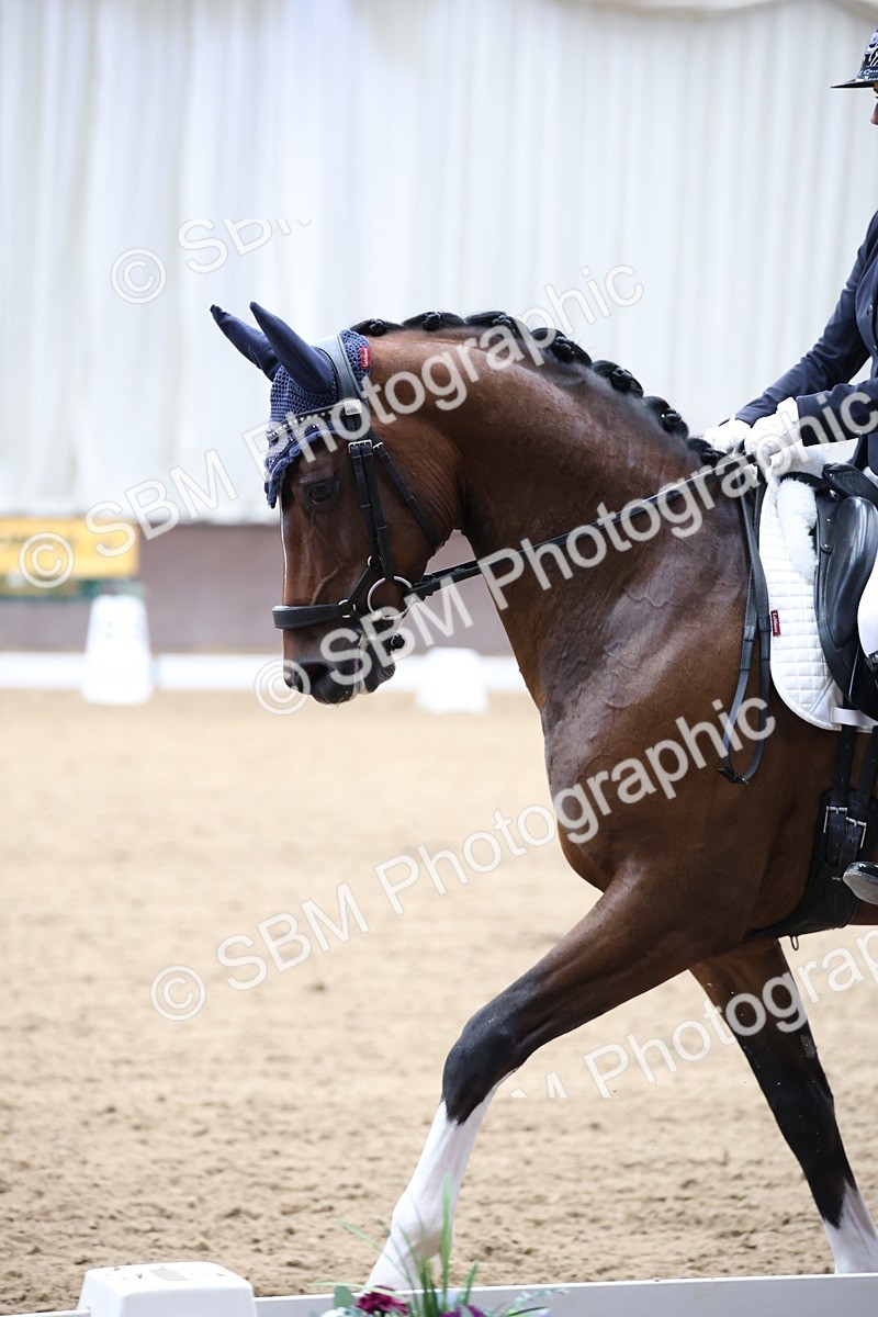SBM_002881 - Class 5 - Novice 6 Gold - 10.24-11.30