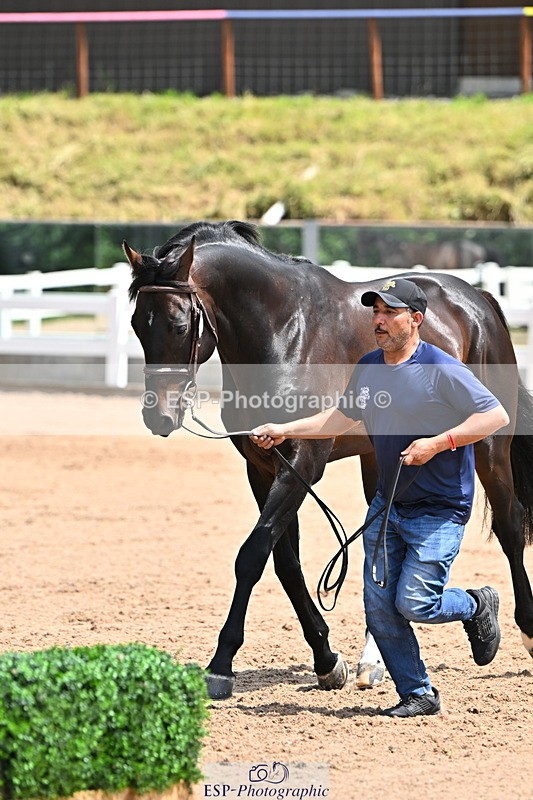 240718A-105301-01449 - Trot Up 12pm to 1pm