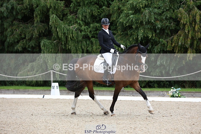 230813-151756-08034 - Cls 11 Elem Bronze 14.30 to End