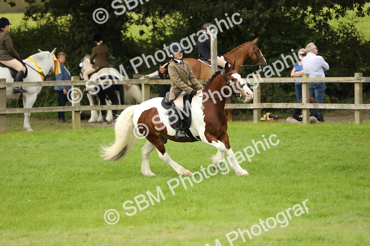 SBM_71713 - S41 - Ridden Equitation (Best Rider)