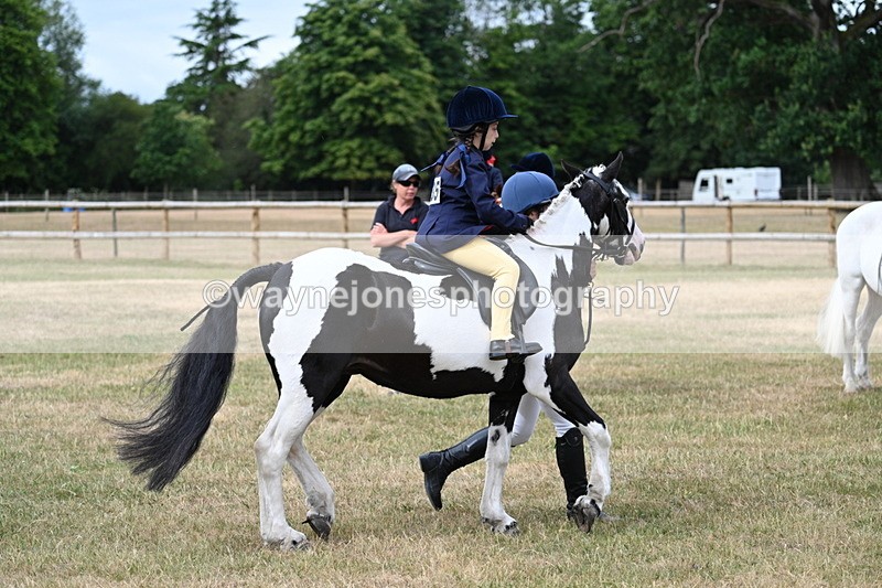 WJ7_9786 - Class 1 Lead Rein Pony
