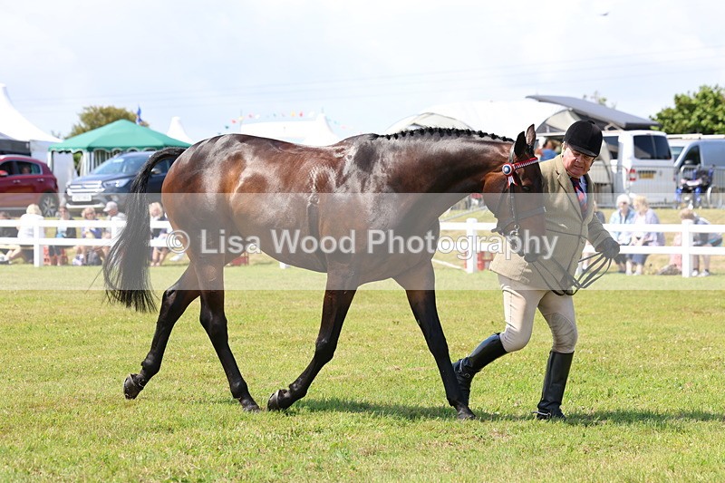 3E7A1179 - Class 8: Open Riding Horse/Hack