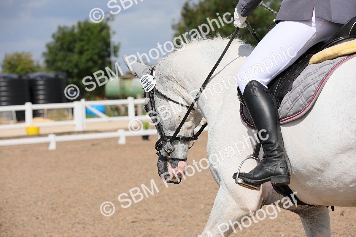 SBM_03953 - Class 31 Prelim 1