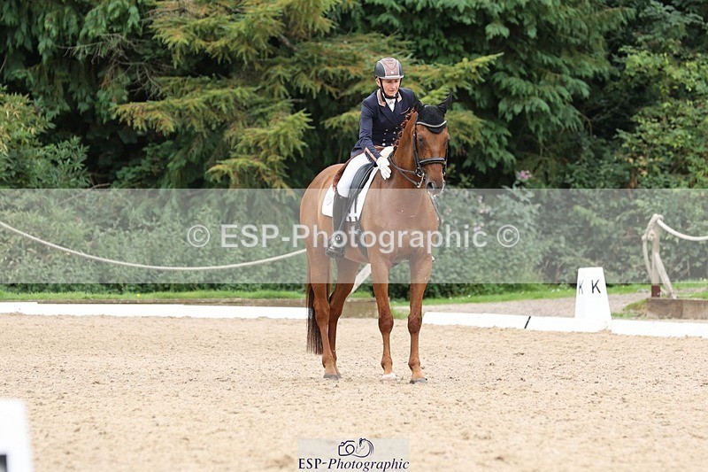 240810-161541-04359 - 219-Alice.Peternell-Insanity