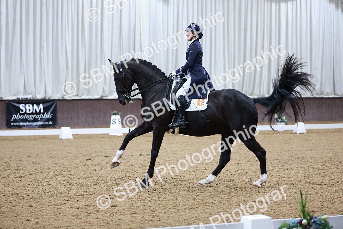 SBM_021840 - Class 14 - FEI Grand Prix - 18.52-19.37