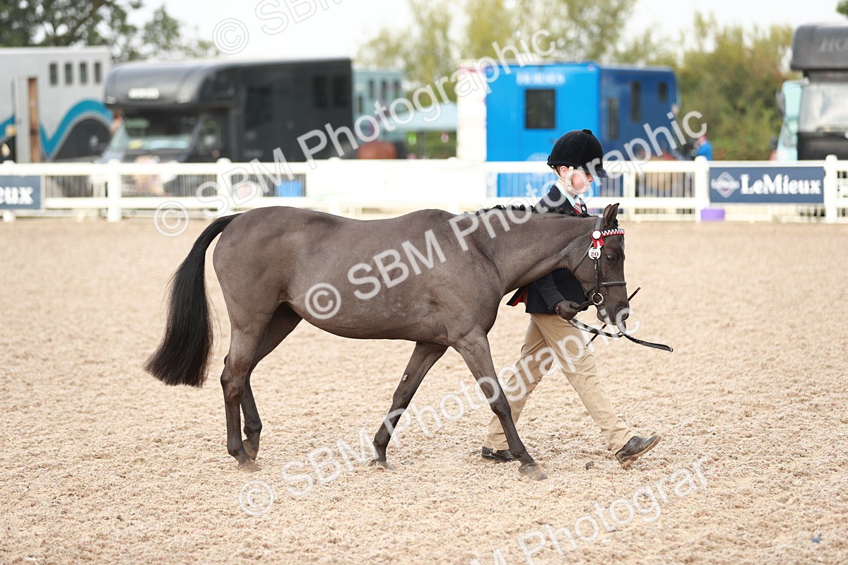 SBM_09470 - Class 201 Best Turned Out IH