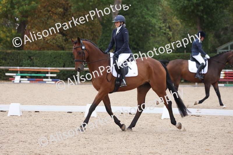 20250820-0372 - Class 11 - My Quest Novice 3