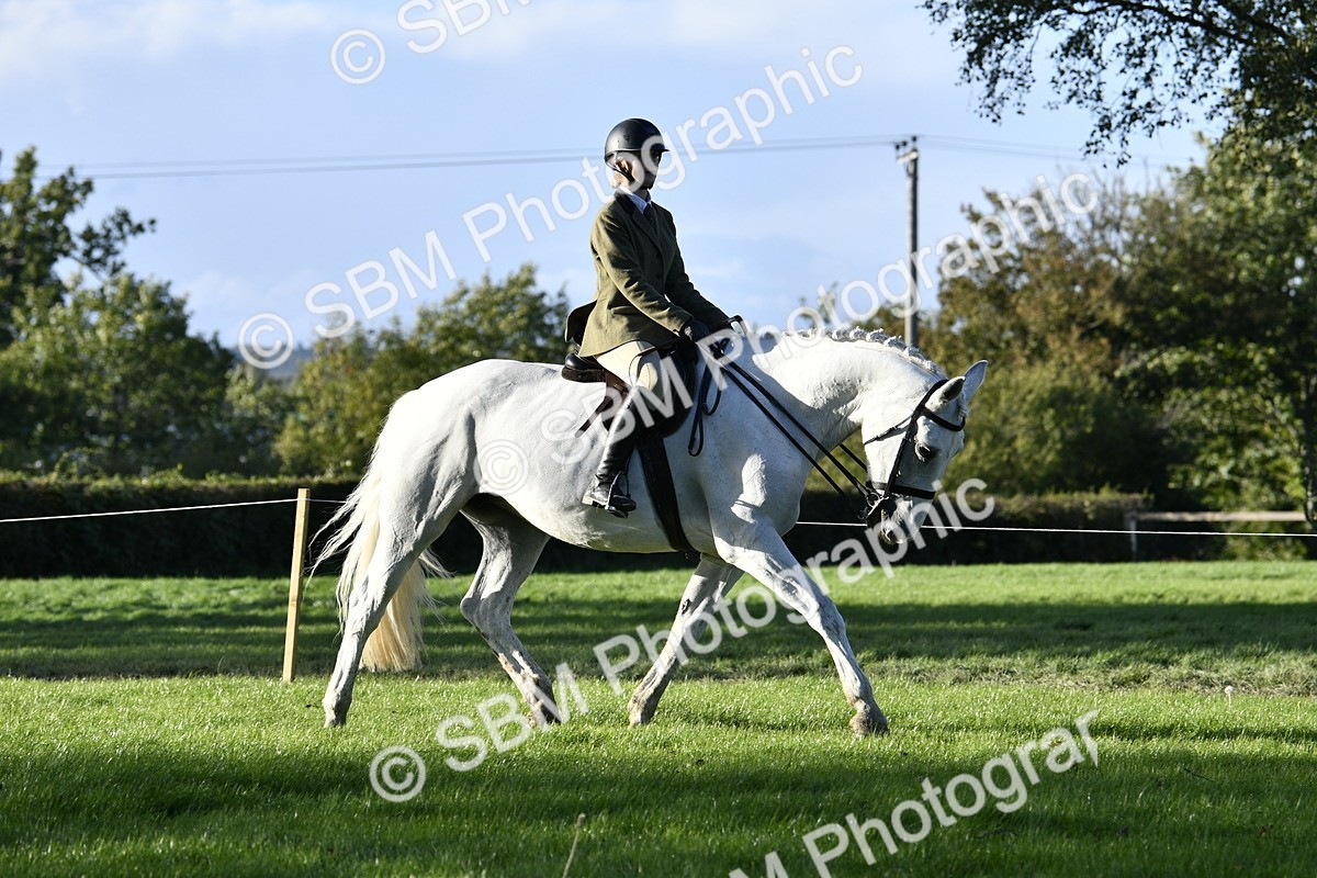 SBM_53502 - S14 - Riding Club Horse