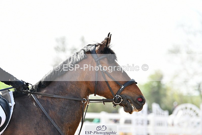 240511A-095148-11392 - Cls 28 95cm National Am Quali