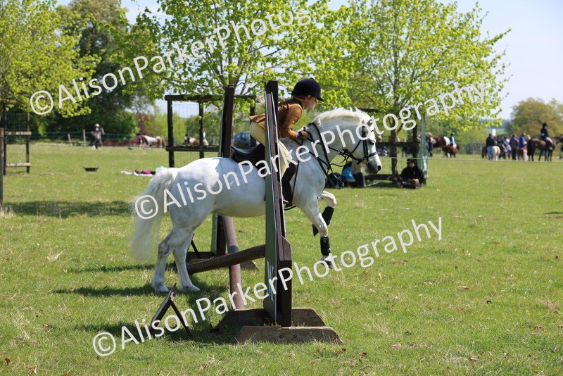 20250427-2472 - Class 19 - Mini Working Hunter