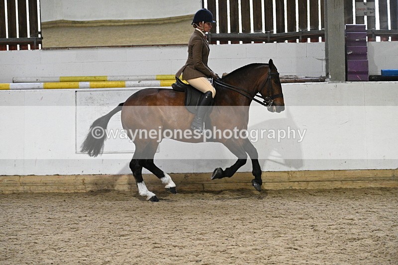 WJ7_3901 - Class 17 Ridden Cob