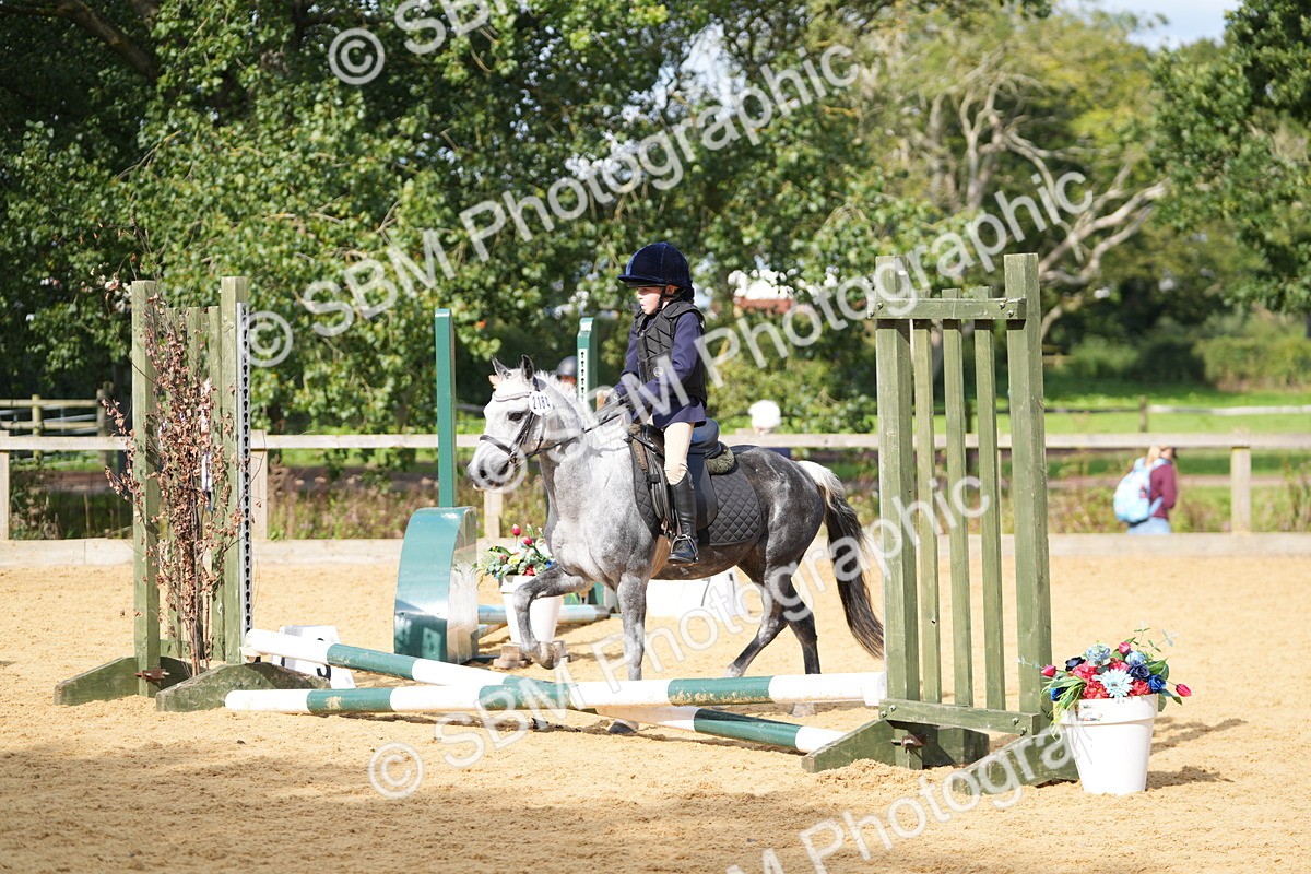 SBM_64376 - J2 - Mini Tour Junior Pony 30cm Championship
