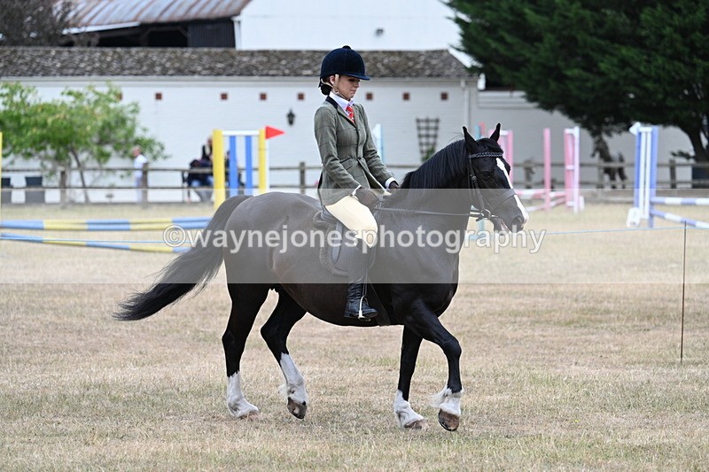 WJ7_0495 - Class 6 Ridden Mountain and Moorland