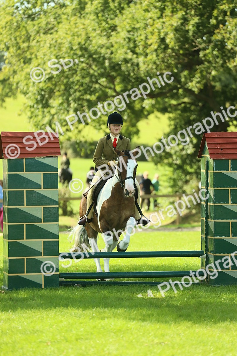 SBM_41977 - S29 - Novice & Newcomers Working Hunter Pony