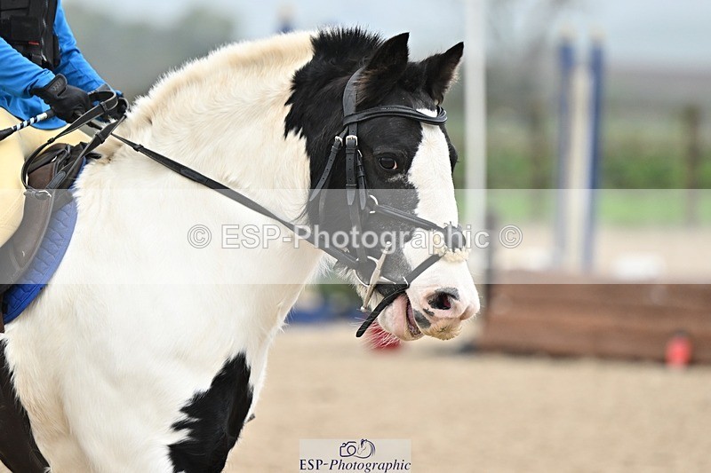 241110-095345-00116 - 40cm Showjumping