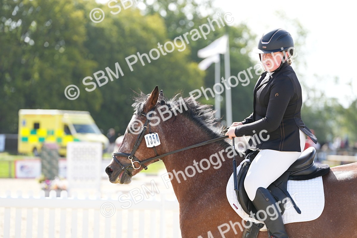 SBM_17774 - J58 - Clear Round 50cm