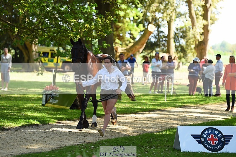 230524-153228-00336 - 357-VIVENDI_HERO-Saffron_Cresswell-WEDTrotUp+DR