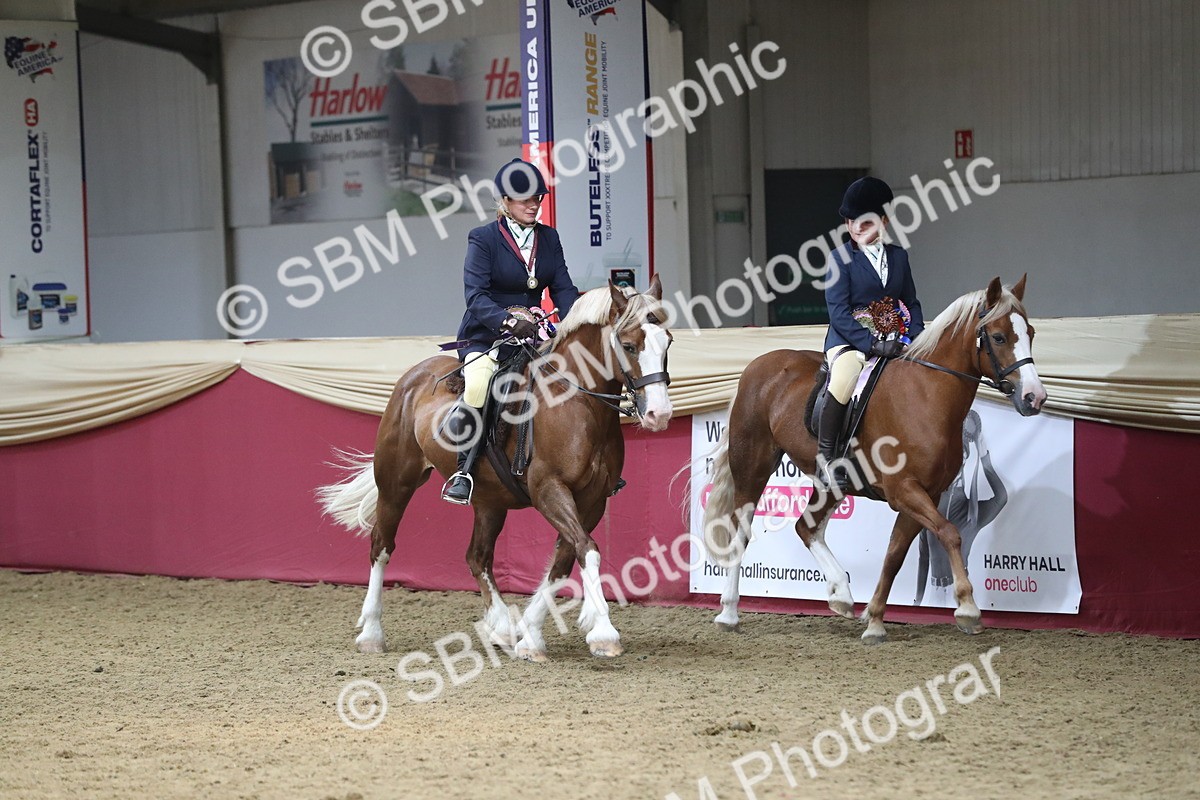 SBM_13800 - Class 109 Ridden Pairs - Section B