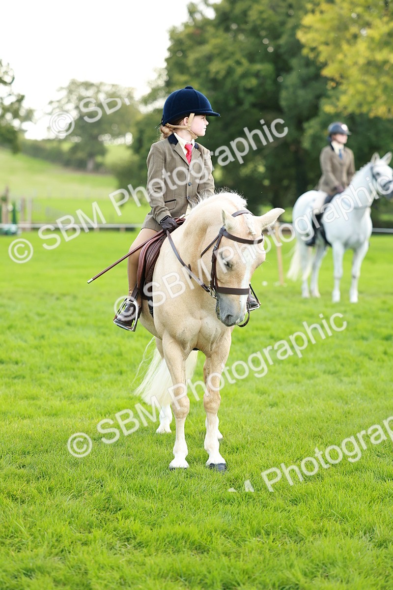 SBM_28848 - S7 - Novice & Newcomer Ridden Pony
