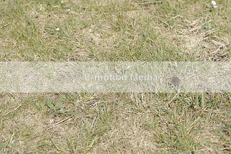 BVHT 140517 I-539 - Class 1 SJ Intermediate 14/05/17