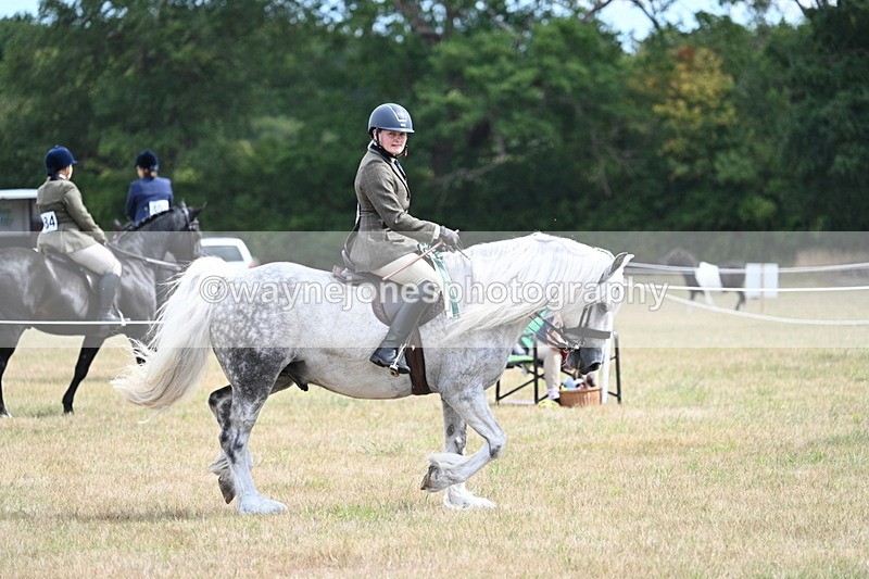 WJ7_5574 - Class 12 Ridden Cob