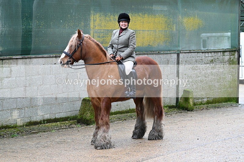 WJ7_8713 - Berks & Bucks - Rowles Farm 15-02-26