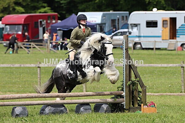 IMG_3170 - Working Hunter