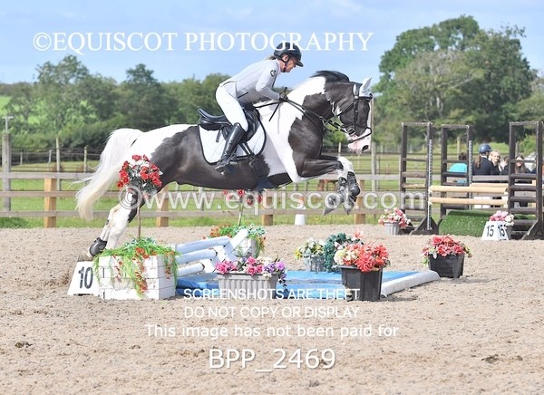 BPP_2469 - DERBY CLASS 7 - 80CM