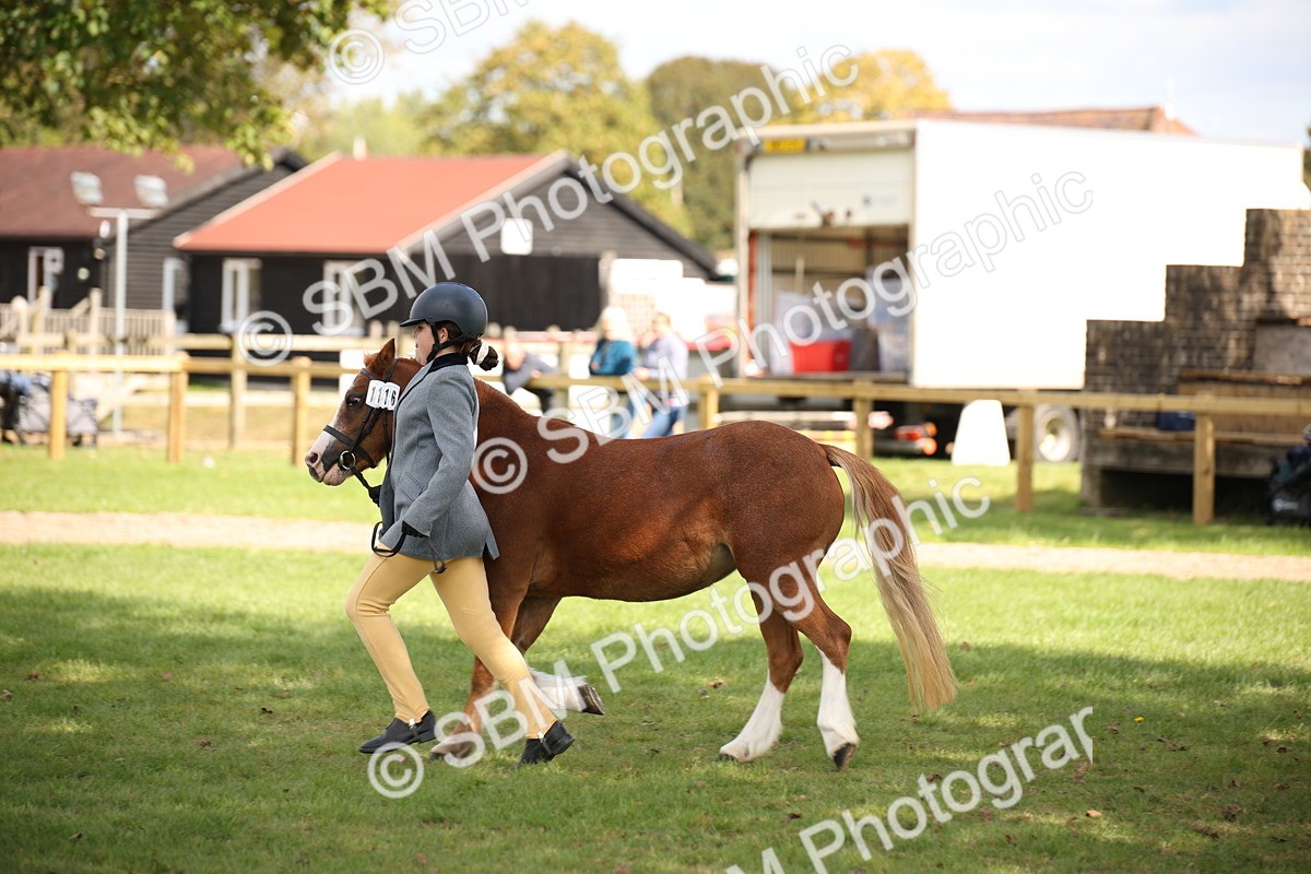 SBM_44453 - S24 - Young Veteran in hand