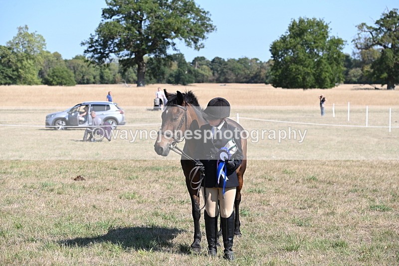 WJ6_7672 - Class 34 Judges Choice