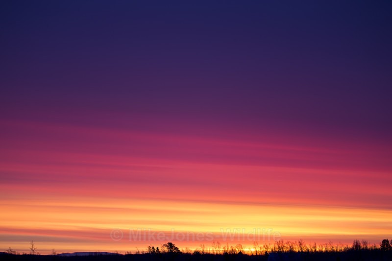 Sunrise in Northern Sweden at -28deg c - FINLAND & SWEDEN LANDSCAPES