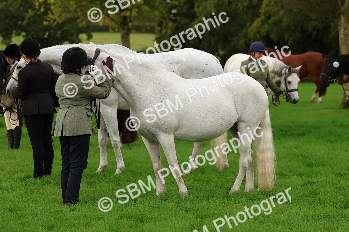 SBM_32844 - S8 - Best Turned Out