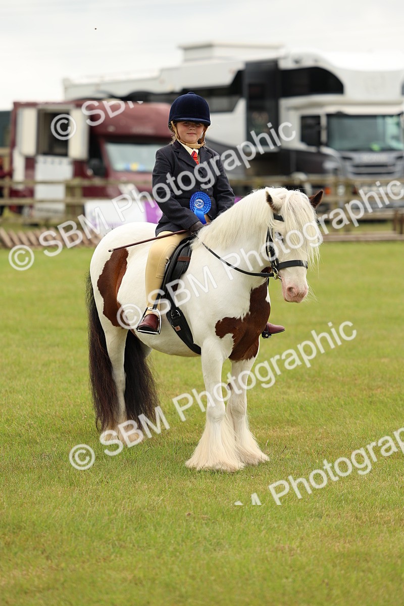 SBM_06292 - Class 39-41 TGCA In Hand and Ridden