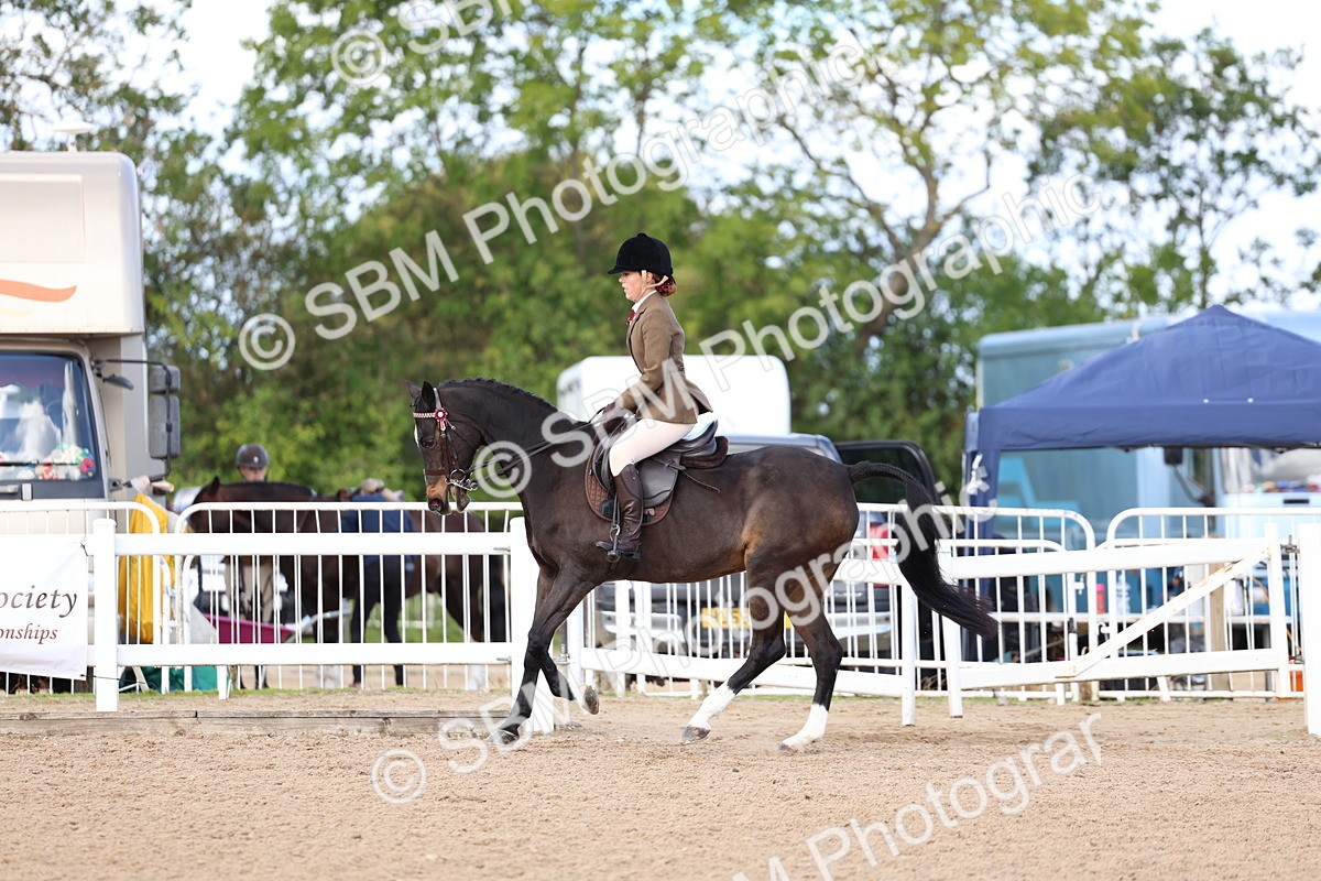 SBM_11211 - Class 306 - Ridden Foreign Breeds - Part Bred