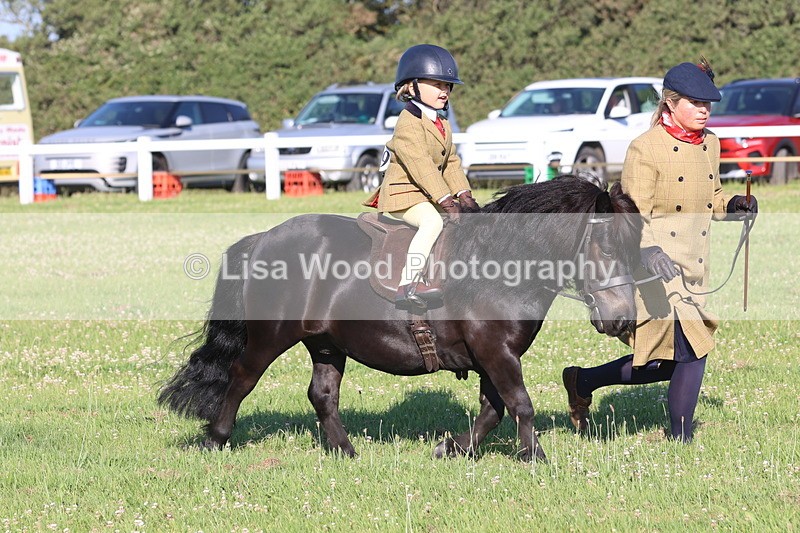 JPP_0806 - Class 16: Cornish Combination Leading Rein