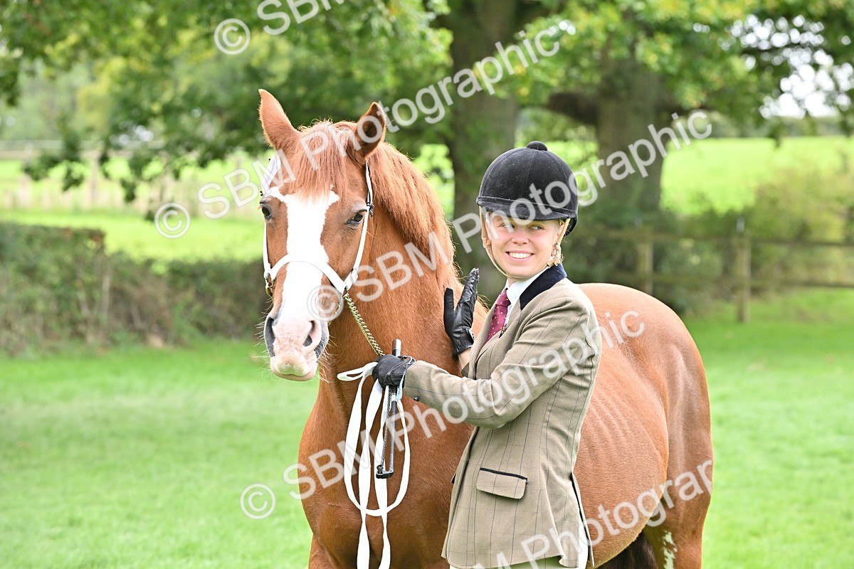 SBM_63304 - S49 - Mountain & Moorland In Hand Large Breeds