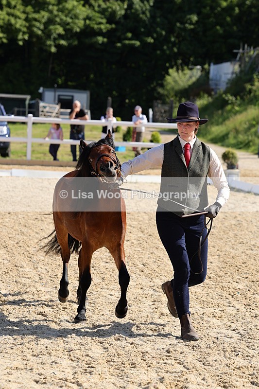1X9A0678 - Class 3: Youngstock 1, 2, 3 year old not to exceed 153cm