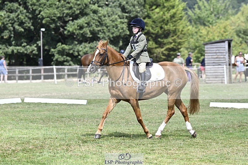 250822A-121205-22614 - DR 11.00 to 12.00